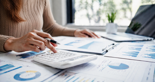 Stima anticipata dei dati economici delle imprese. Anno 2024